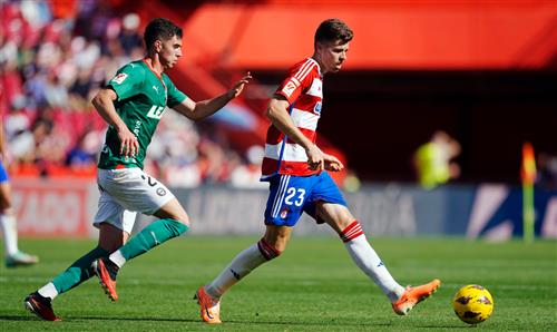 What's a Bingo Game?